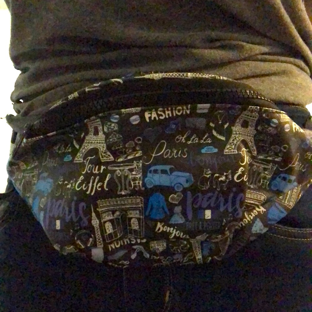 Fannypack/Phannypack